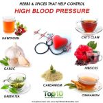 Herbal remedies for lowering blood pressure