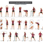 Importance of warm-up exercises for joint flexibility