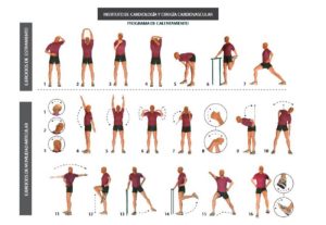Importance of warm-up exercises for joint flexibility
