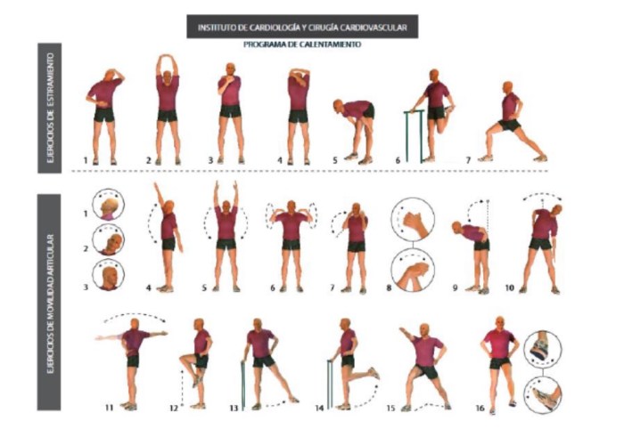 Importance of warm-up exercises for joint flexibility